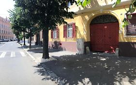 Studio Summer